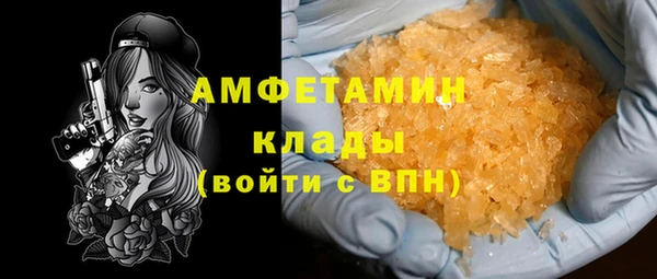 прущие грибы Гусь-Хрустальный