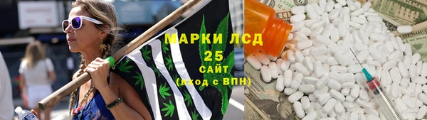 прущие грибы Гусь-Хрустальный