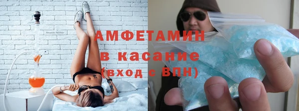 прущие грибы Гусь-Хрустальный