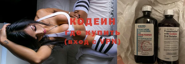 прущие грибы Гусь-Хрустальный
