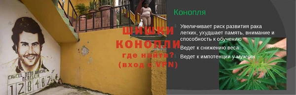прущие грибы Гусь-Хрустальный
