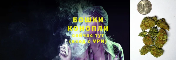 spice Гусев