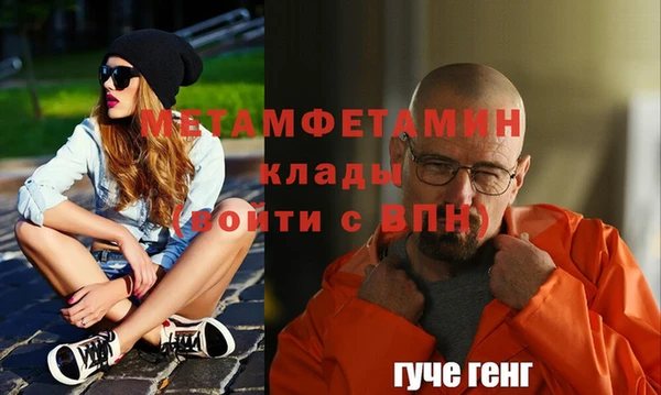 прущие грибы Гусь-Хрустальный