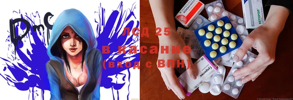 прущие грибы Гусь-Хрустальный
