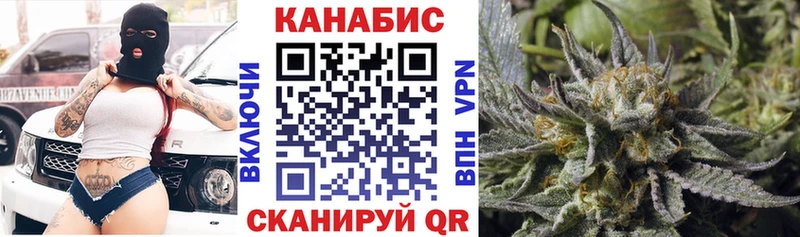 купить наркотики цена  Новороссийск  Бошки марихуана SATIVA & INDICA 